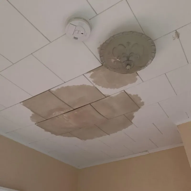 Ceiling Water Damage Repair in Beckemeyer, IL
