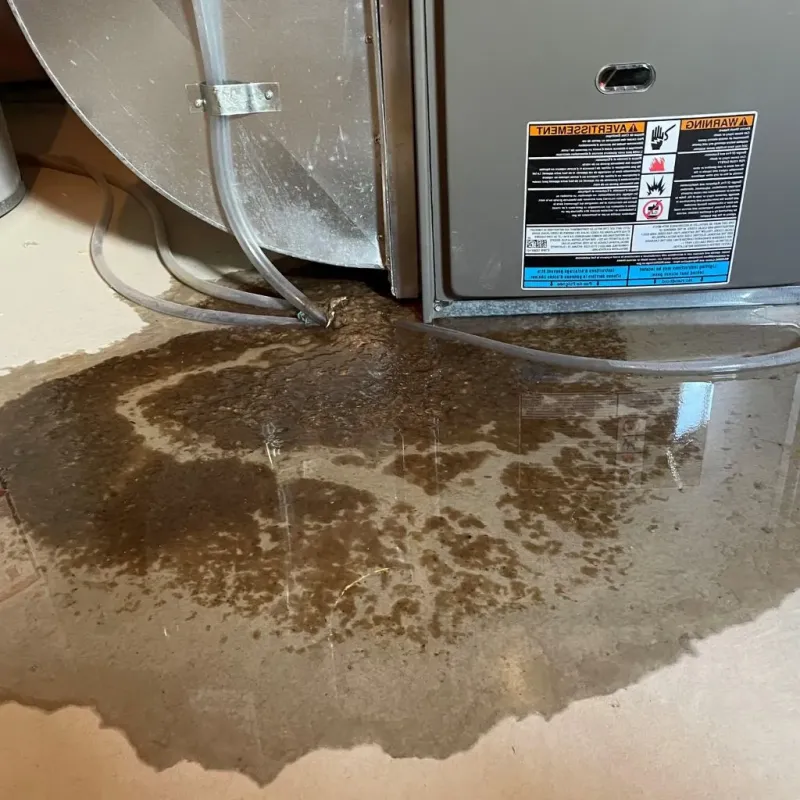 Pipe Burst and Leak Restoration in Beckemeyer, IL