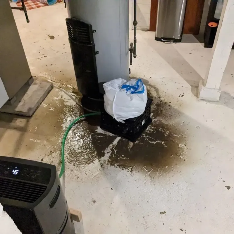 Sewage Backup Cleanup Service in Beckemeyer, IL